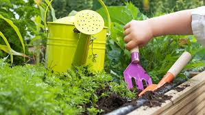 Gardening With Kids: Dirt, Drama, and Delayed Gratification